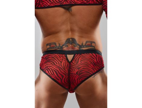 Majtki brazyliany - XXL - 4
