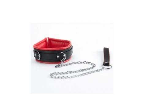 Red Collar And Leash - 3