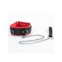 Red Collar And Leash - 4