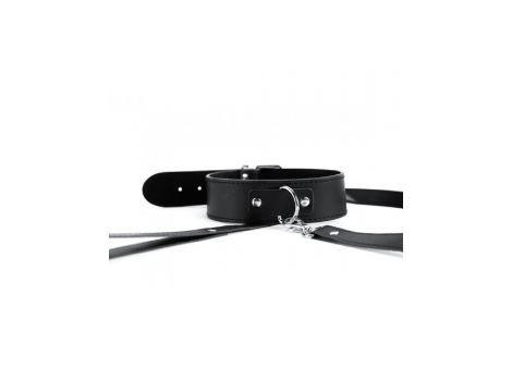 Black Collar And Leash - 2