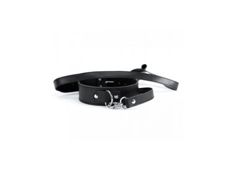 Black Collar And Leash - 3