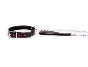 Hearts Collar And Leash
