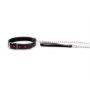 Hearts Collar And Leash - 2