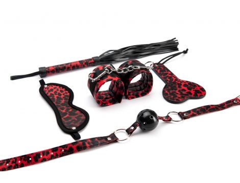 5 Pieces Leopard Bondage Set