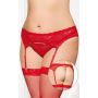 Pas do pończoch koronkowy z stringami SoftLine czerwony 3XL - 2