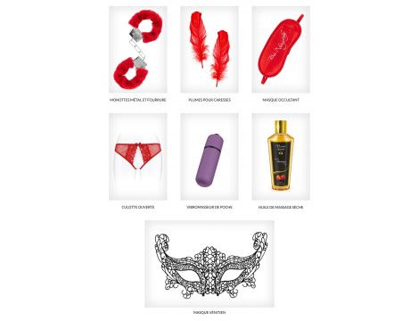 Zestaw Walentynkowy Pleasure Box Concorde z BDSM i wibratorem - 5