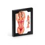 Regulowany body harness Paris Hollywood czerwony - 4