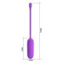 PRETTY LOVE -Joyce, 12 vibration functions Memory function - 3