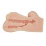 CRAZY BULL - Hannah, Double holes  TPR - 7