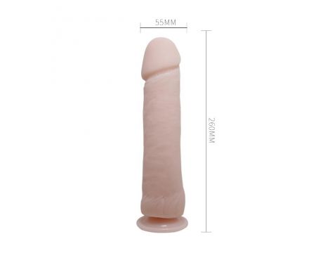 BAILE - The Big Penis - 3