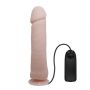 BAILE - The Big Penis - 7