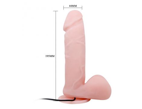 BAILE - Dong Vibrating