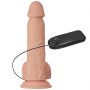 BAILE-Beautiful Bahamut Vibration 8.5"""" - 6