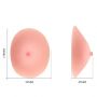 BAILE - the True Breast - 2