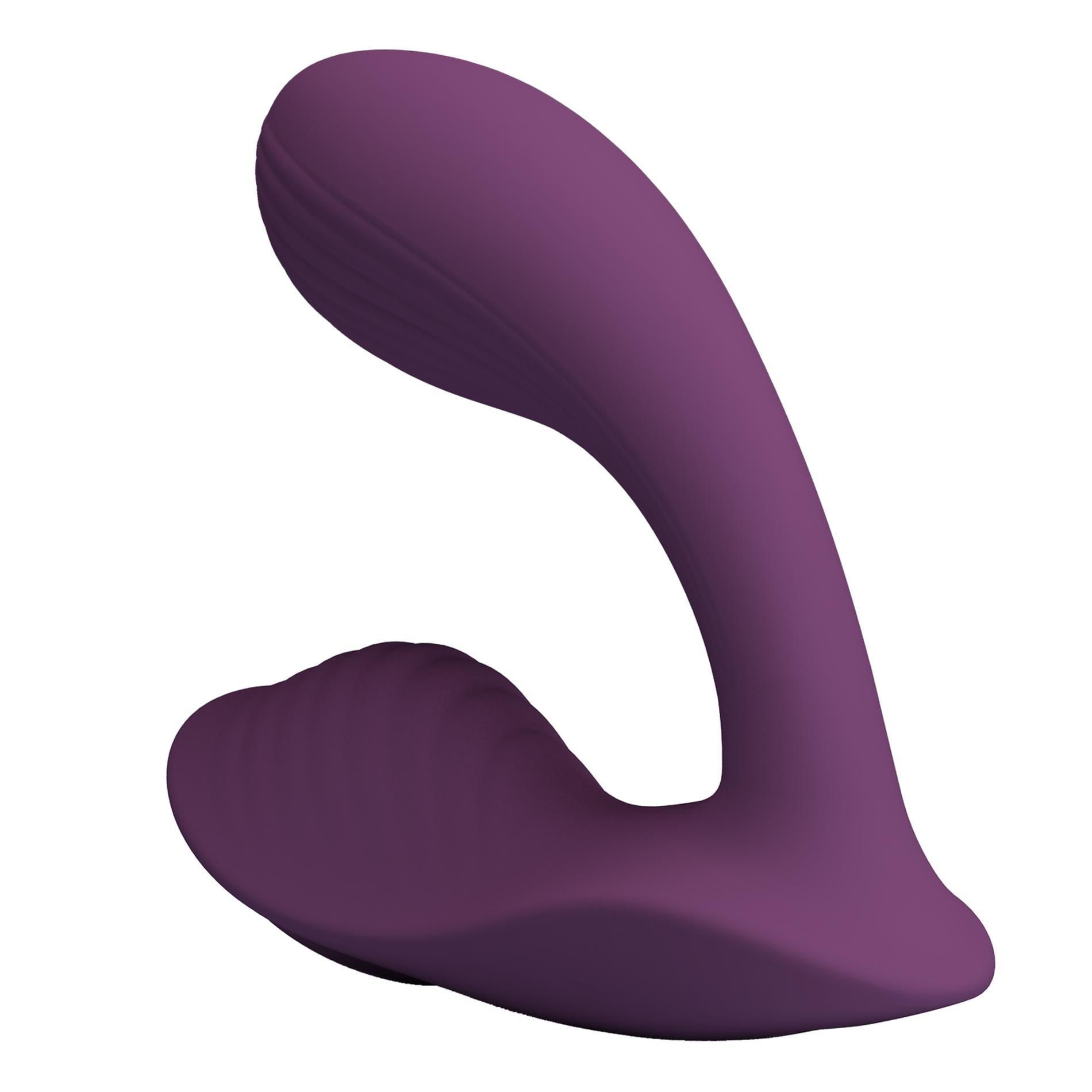 Franz, 10 Vibration Functions Mobile App Remote Control