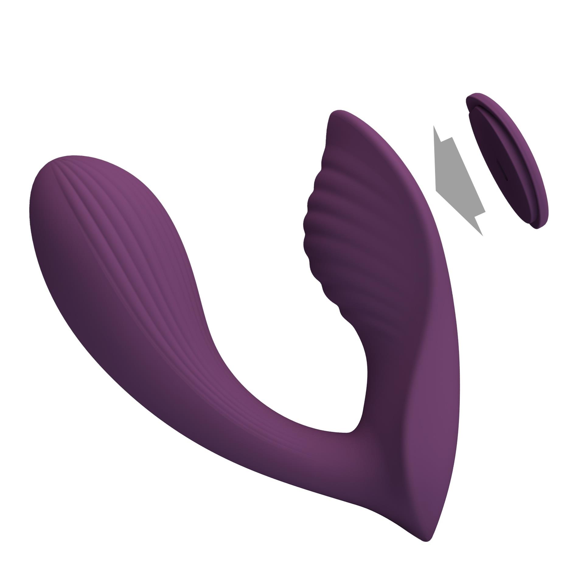 Franz, 10 Vibration Functions Mobile App Remote Control