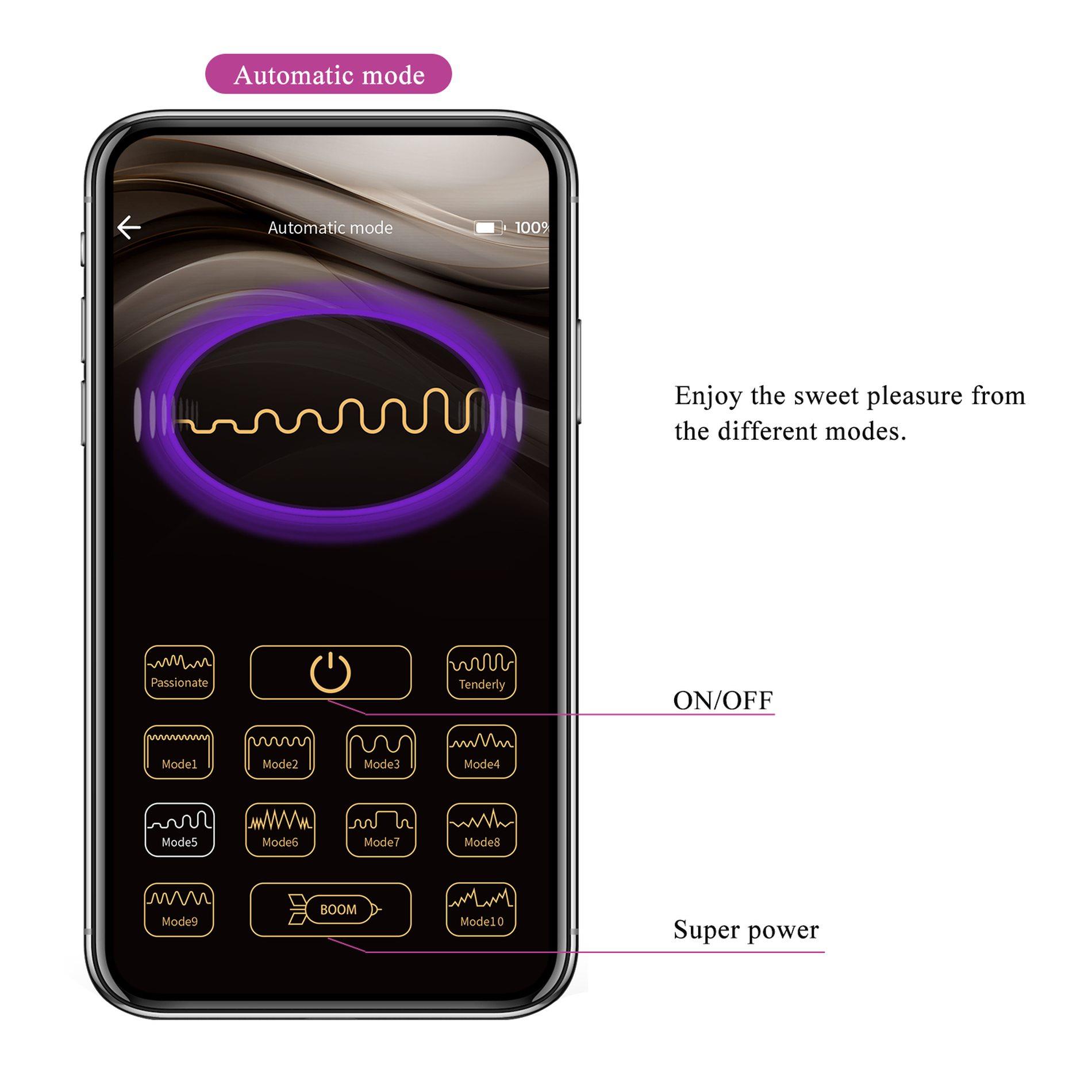 Franz, 10 Vibration Functions Mobile App Remote Control