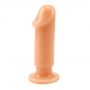 Anal Dildo Kit - 3