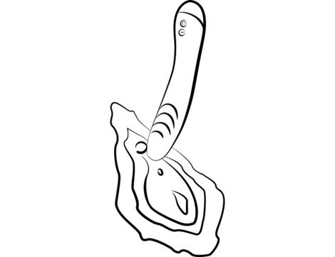 ROMP - Hype G-Spot Vibrator - 10