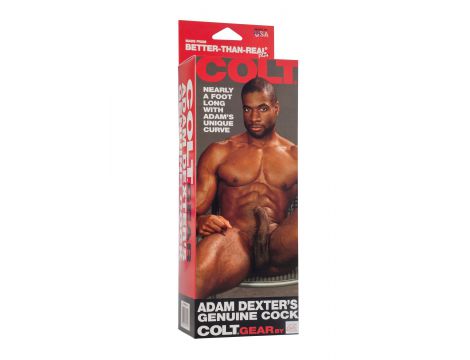 Realistyczne dildo Calexotics COLT Adam Dexter brązowe 21.5 cm - 3