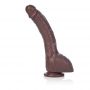 Realistyczne dildo Calexotics COLT Adam Dexter brązowe 21.5 cm - 13