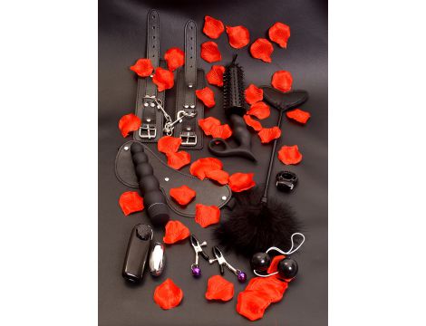 Zestaw erotyczny ToyJoy Amazing Pleasure czarny - 3