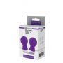 Pompki ssące na sutki silikonowe Dream Toys fioletowe - 2