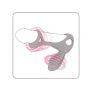 Pierścień wibrujący silikonowy Gladiator Adrien Lastic 9 cm z pilotem - 2