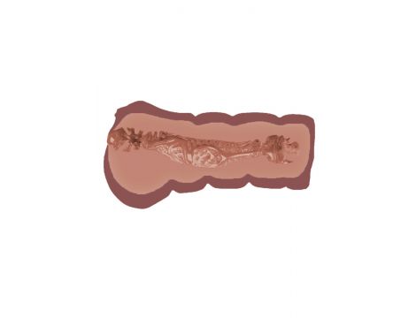 Masturbator Super Wet Travel Beaver Hidden Desire brązowy 13.5 cm - 4