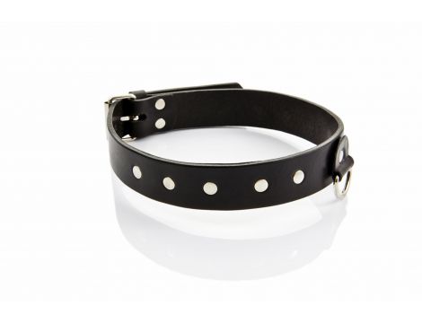 Obroża męska wąska Whips Collection skórzana 3 cm - 3