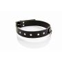 Obroża męska wąska Whips Collection skórzana 3 cm - 4