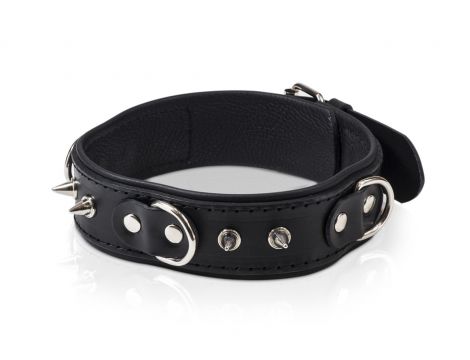 Obroża męska Whips Collection z półkółkami i smyczą - 2