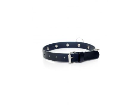 Obroża z ćwiekami Fetish B Series regulowana 2 cm - 4