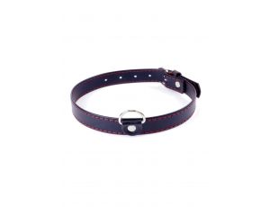 Obroża BDSM Fetish B Series z czerwoną linią 2 cm