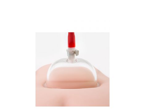 Pompka do pochwy Temptasia Intense Blush - 11