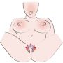 Rozciągacz warg sromowych You2Toys fioletowy 28 cm - 10