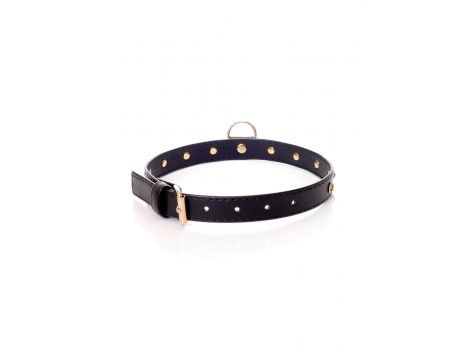 Obroża z kryształkami Fetish B Series złota 2 cm - 2