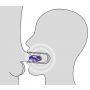 Wibrator doustny You2Toys Blow Job Vibe fioletowy 12,5 cm - 17
