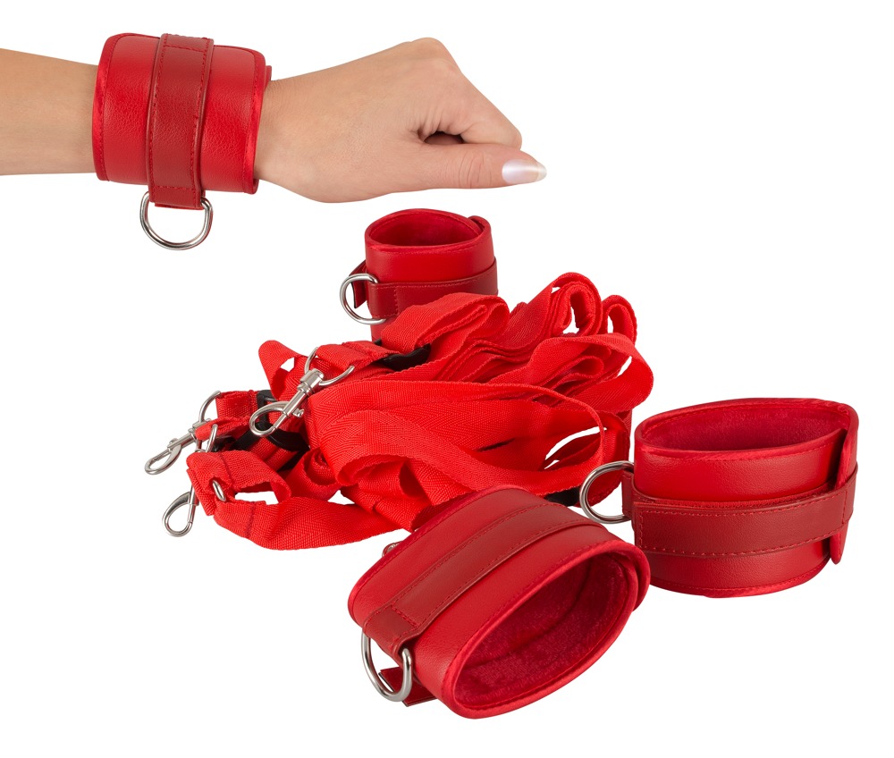 bad kitty bed restraint set