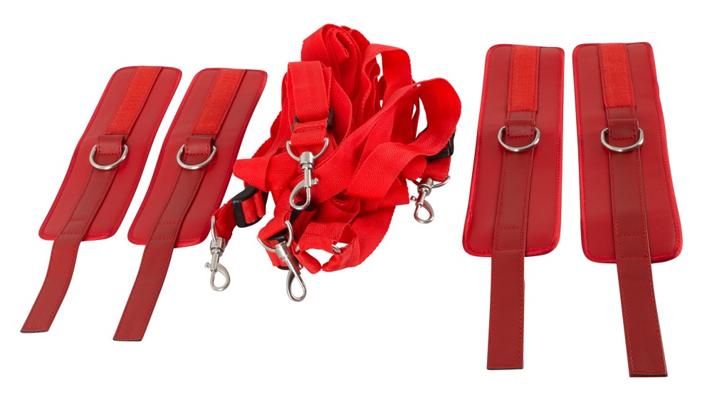 bad kitty bed restraint set