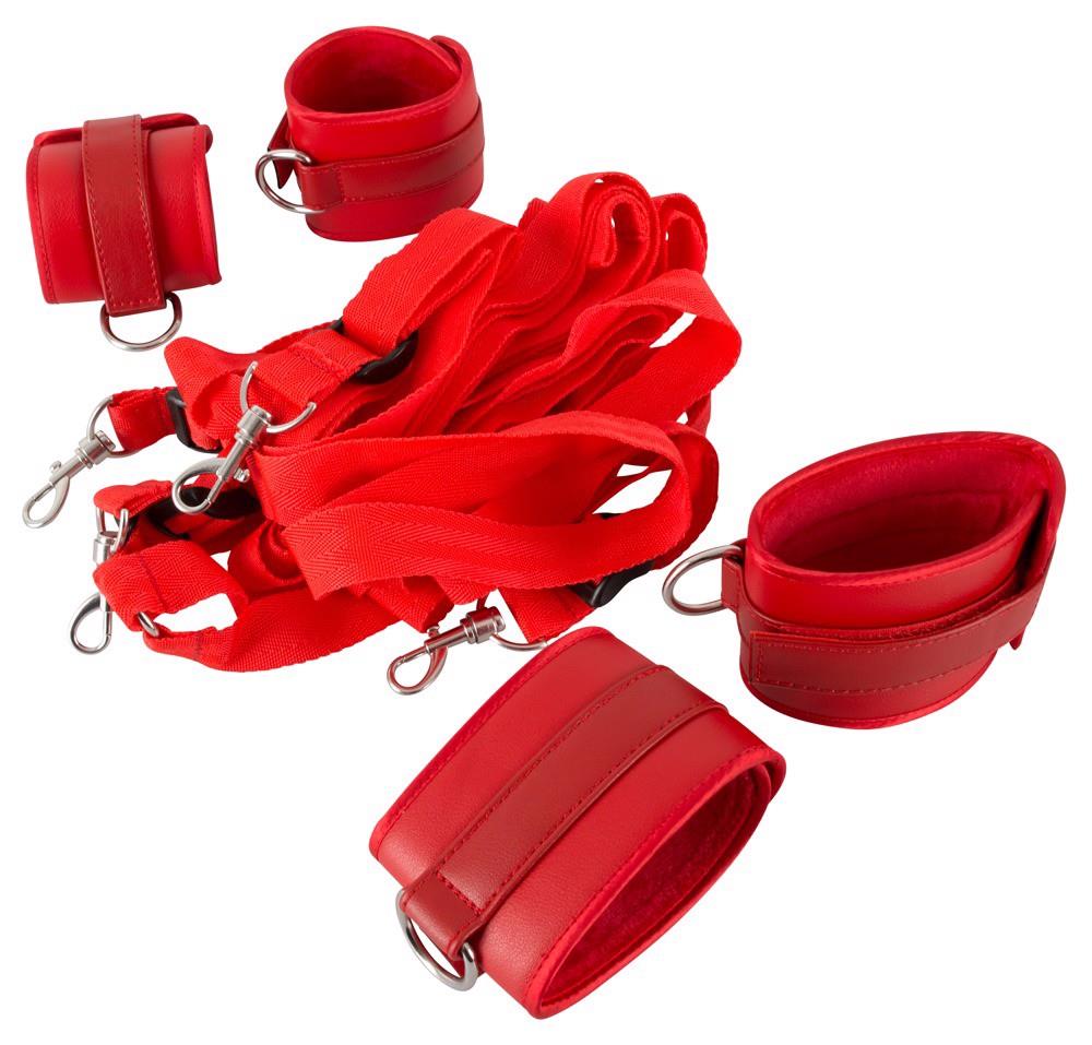 bad kitty bed restraint set
