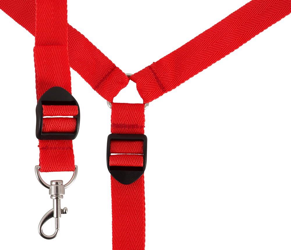 bad kitty bed restraint set