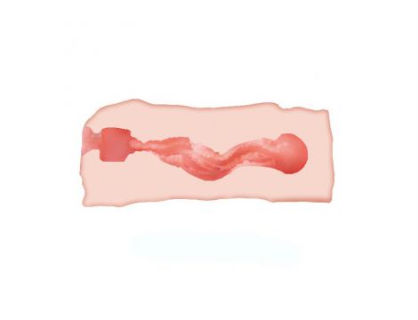 Masturbator kompaktowy realistyczny Crazy Bull Jane wodoodporny 14 cm - 6