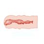Masturbator pochwowy realistyczny Crazy Bull Isabel cielisty 13.5 cm - 7