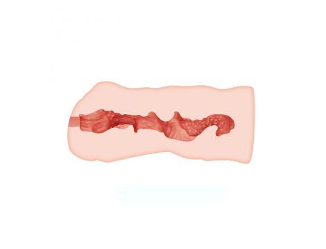 Masturbator kompaktowy realistyczny Crazy Bull Linda wodoodporny 14 cm - 5