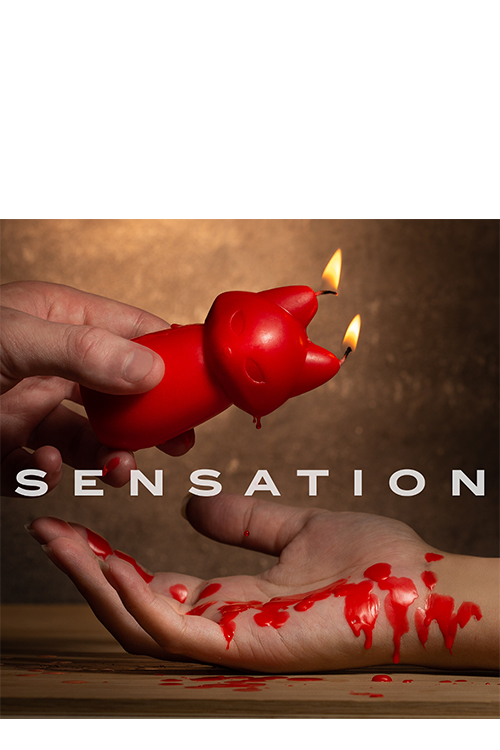 temptasia fox drip candle red