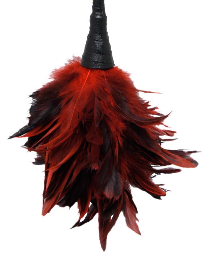 ffs frisky feather duster