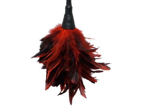 Łaskotka piórkowa Frisky Fetish Fantasy 36 cm - 3