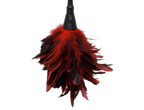 Łaskotka piórkowa Frisky Fetish Fantasy 36 cm - 4