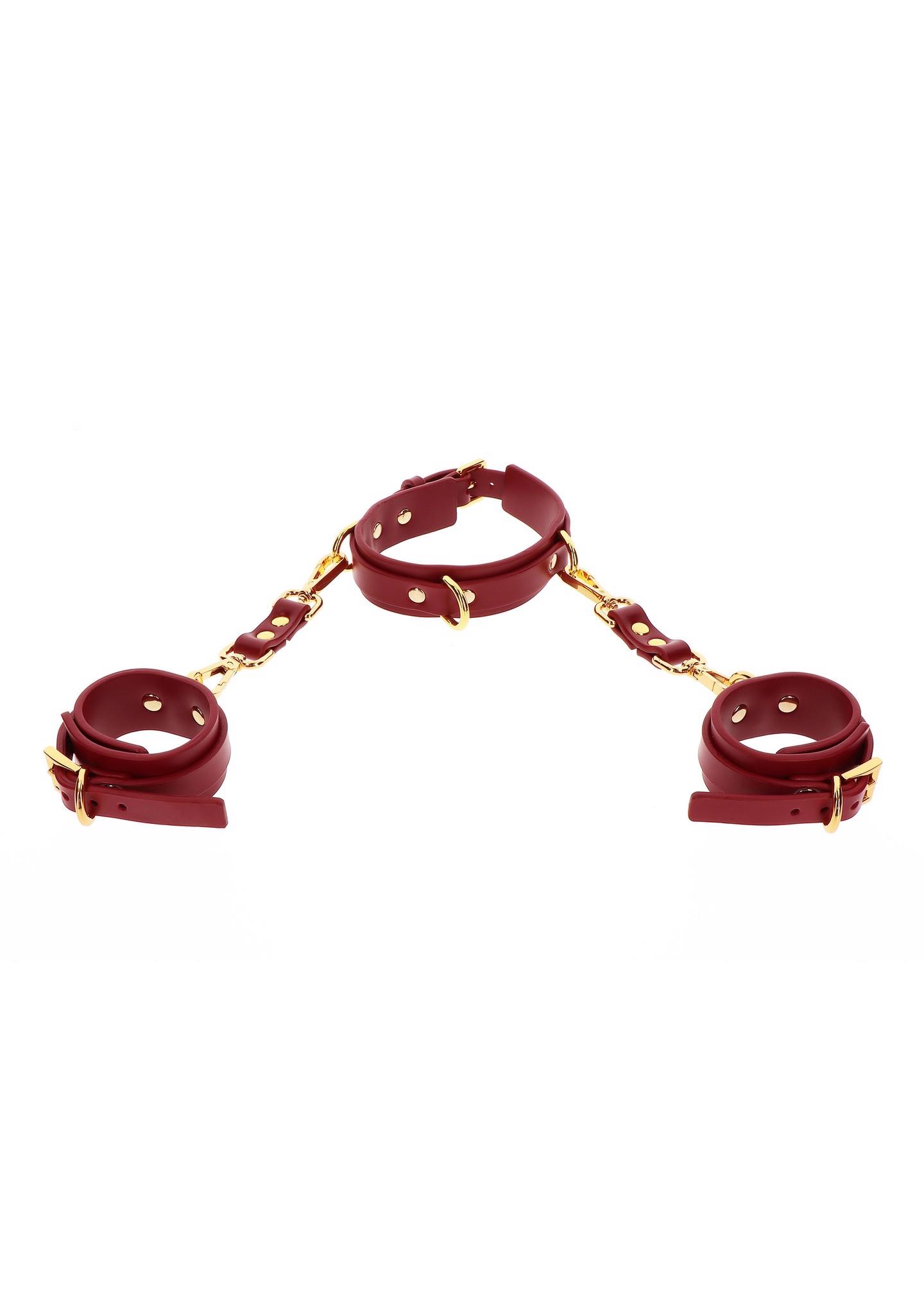 d-ring collar and wrist cuffs
